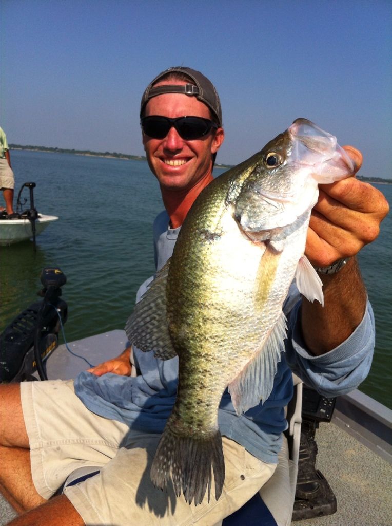 Lake Lavon Crappie Fishing Guide Updated Reports & Pictures Weekly